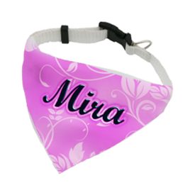 Fényképes kutyanyakörv (a készlet erejéig)