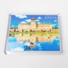 Plexi hűtőmágnes - nagy